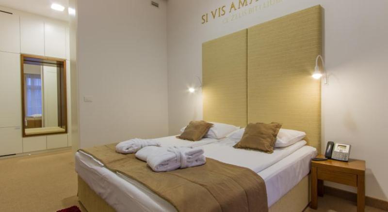 Rimske Terme Resort - Hotel Zdraviliski Dvor Rimske Toplice Esterno foto
